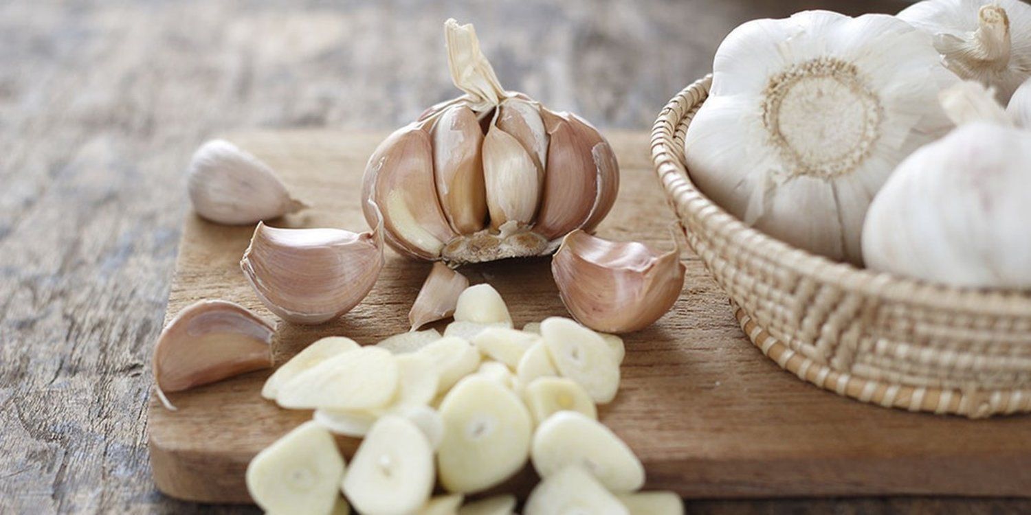 Garlic