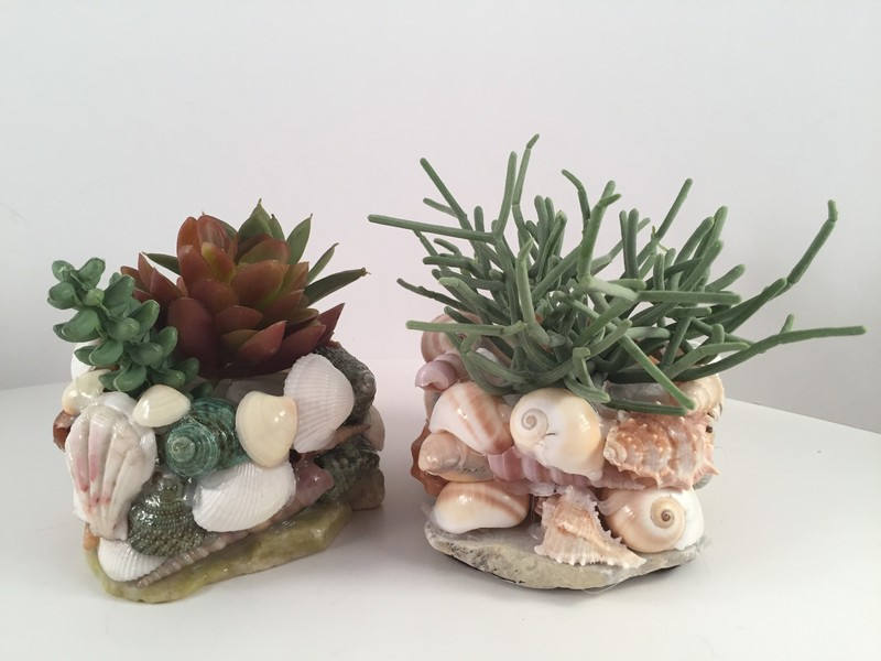 Sea Shells Planters