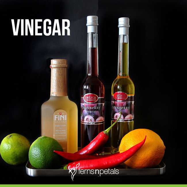 Vinegar