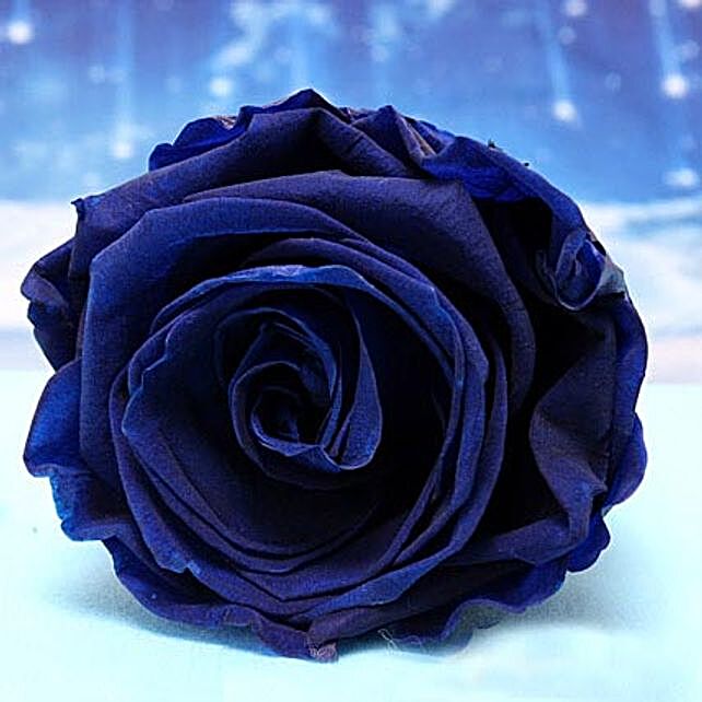 Forever Blue Roses | Gift Forever Blue Rose - Ferns N Petals