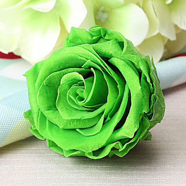 Forever Green Rose Gift Forever Green Rose Ferns N Petals